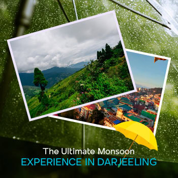 Monsoon in Darjeeling