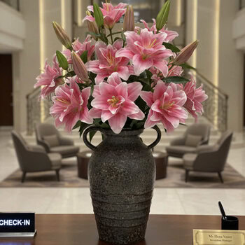 Bình cắm hoa soài 2 quai cao 33cm