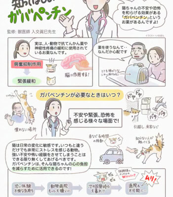 診察時の猫のストレスを緩和するガバペンチン