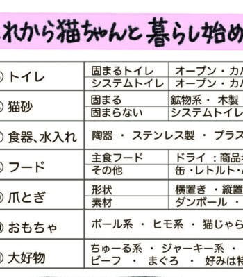 初めて猫と暮らし始める方に向けて必要な基本アイテムを紹介しているチラシ