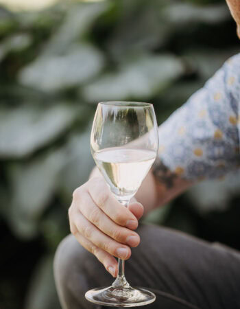 Stoneboat Vineyards