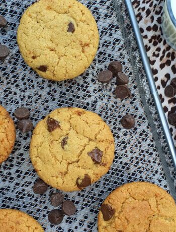 chocolate chip cookie