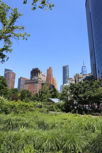 Highline