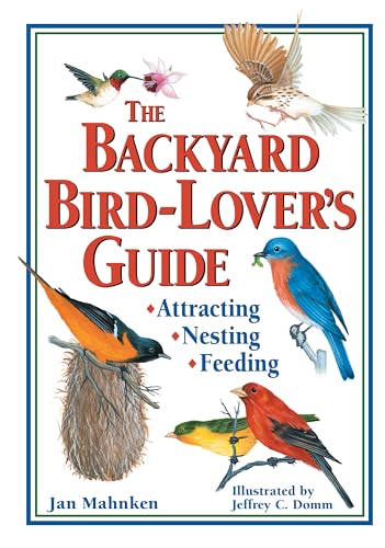How to Feed Small Birds