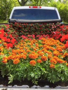 13599825_1205983552746081_629657674811051308_n