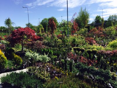 18671344_1513357775341989_7130491141062112190_o