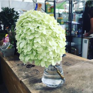 20819244_1609876269023472_2594093646643855929_o