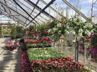 Bilde 03.05.2017, 14.44.23