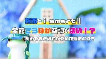 【令和3年6月版】梅雨とさらぽかの相性がやばい！