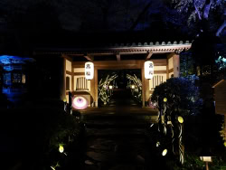 高輪廿六夜 見てきました