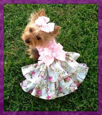 vestidos de mascotas