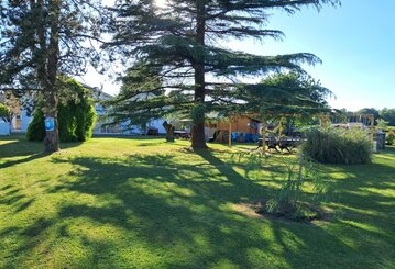 Parc ombragé Jardin ensoleillé avec grands arbres, pelouse verte et mobilier de terrasse sous une pergola en bois