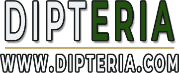 logo haut site Dipteria