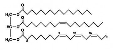 Triglycerides