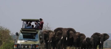 14 Days Best of Rwanda tour