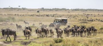8 Days Rwanda and Kenya Safari