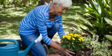 The Unexpected Mental and Physical Health Benefits of Gardening
