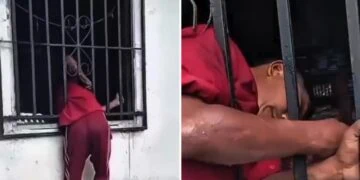 VIDEO: Intentó entrar por una ventana para robar y terminó haciendo el ridículo 😂🚨