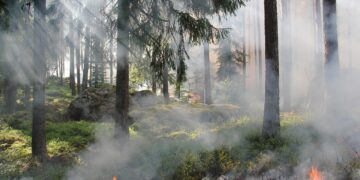 L'incendie dans les Corbières est "fixé"