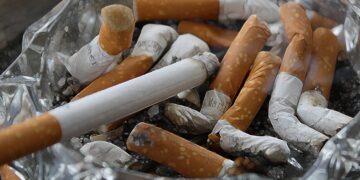 Barbecues et cigarettes interdits face au risque incendie