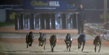 Greyhound Racing tips: Sussex Cup & Coral Regency preview