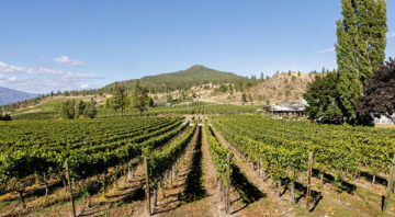 Peak Cellars