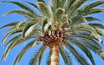 must see op la Palma: San Andres