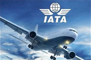 Kenya's President Ruto To Address Global IATA Air Transport Ground Handling Conference In Nairobi Next Month download