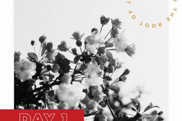 Advent-Day-1