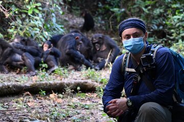 Maggie Hoffman, wearing a protective mask, kneels on the forest floor with a group of chimpanzees behind her.