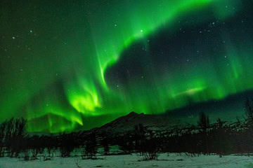 Northern Lights