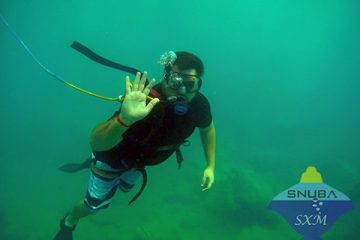 SNUBA SXM needs co workers for the snuba adventure at snuba st maarten