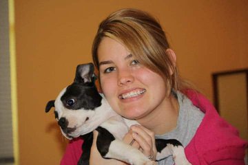 Preparing Your Home For Your New Boston Terrier. Boston Terrier Society.