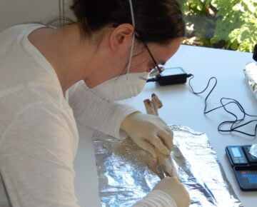 Dorothée Drucker sampling a human bone at the Banyoles Archaeology Museum, Catalonia