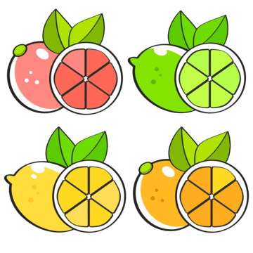 Fresh citrus fruit from Fruto Farmers