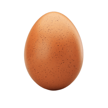Egg
