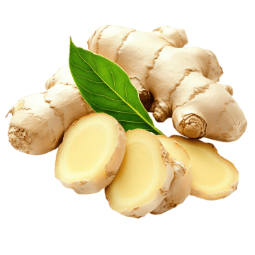 Ginger