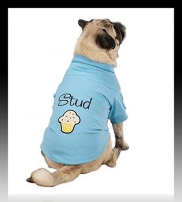 patrones de poleras para perros