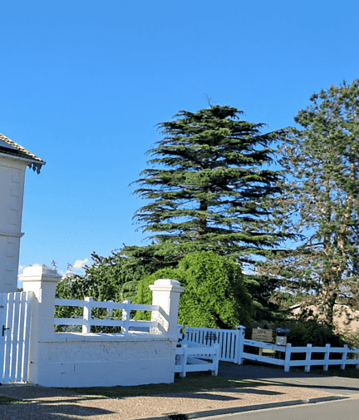 Découvrez la façade de notre gîte Les P'tites Cagouilles en Charente-Maritime Façade de la maison de vacances Les P'tites Cagouilles avec volets bleus et jardin arboré