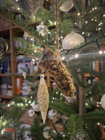 jak udelat krmitko ze sisky