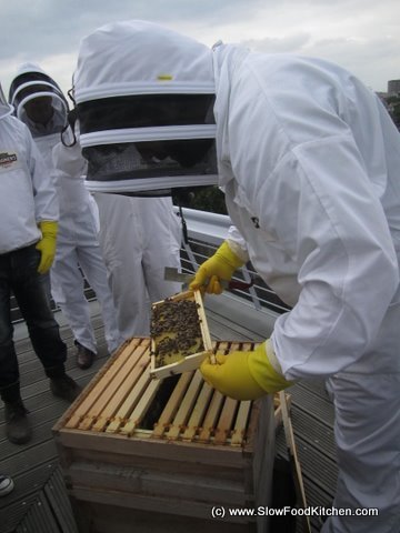 Magners Bee Aid 