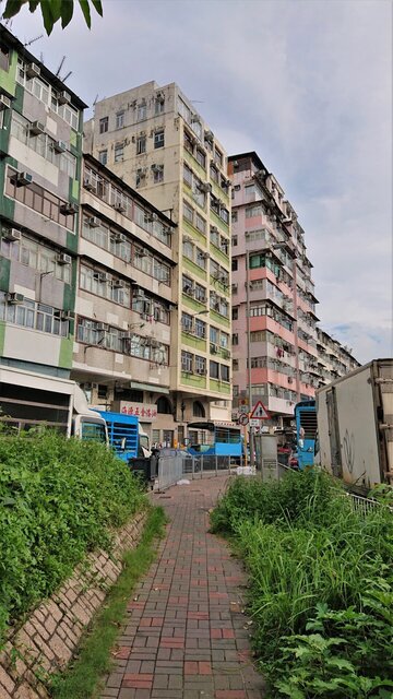 茶果嶺