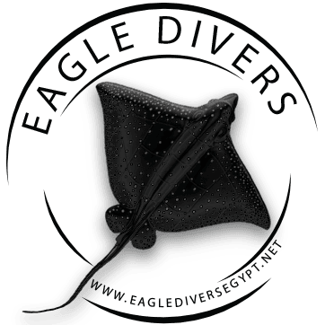 Eagle Logo Eagle Divers Diving Snorkelling Diving Safari Scuba Diving PADI courses underwater life Sharm El Sheikh ccexpress