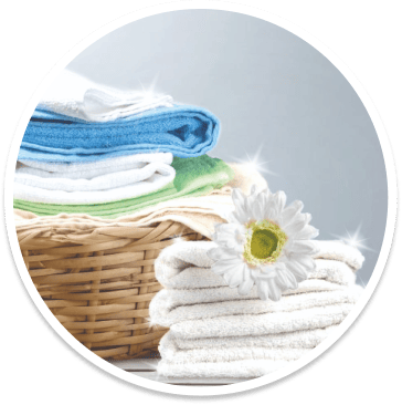 linge1