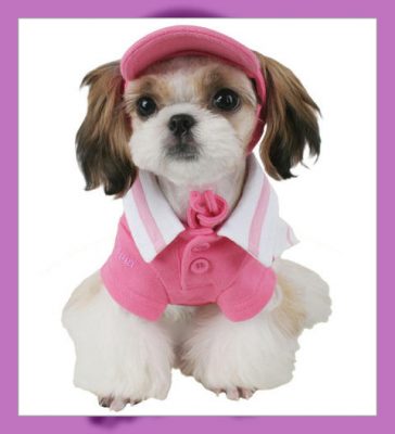 vestidos para perritas paso a paso