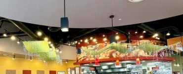 re-launch of nothing but noodles fast casual franchise