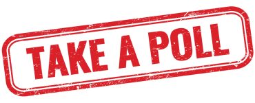 the franchise king's franchise buyer poll sectors of franchising