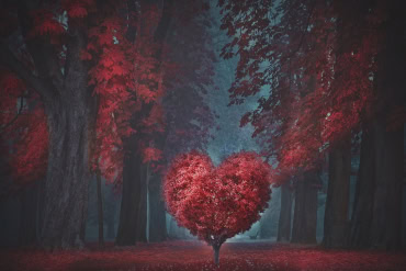 Romantic Getaways: 14 Valentine Destinations for Every Budget