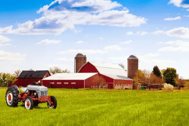 fresh quality hatching eggs for sale lincolnshire