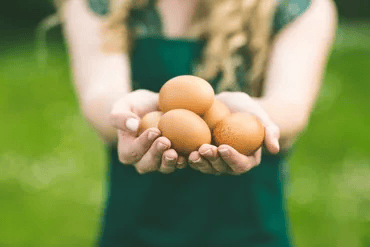 fresh quality hatching eggs for sale lincolnshire